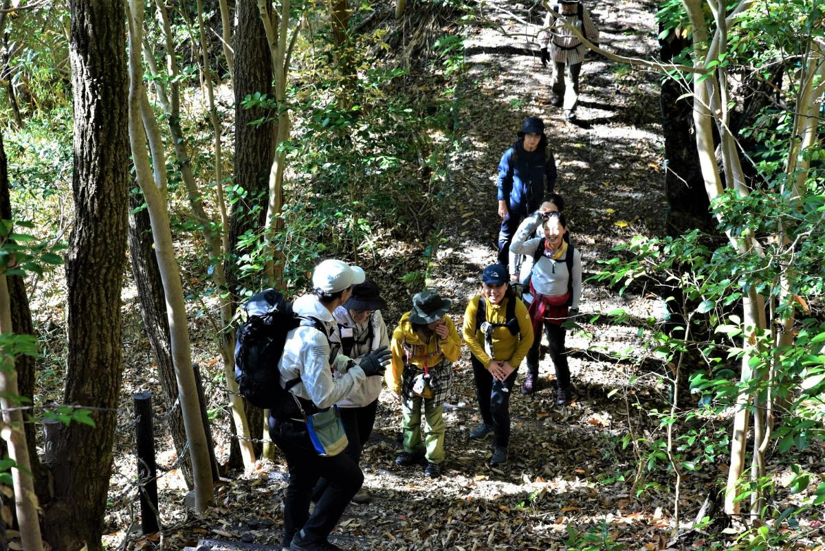 高畑城までの登山風景