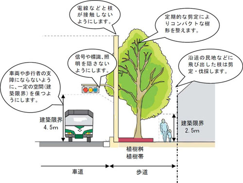 神戸市 街路樹の維持管理について