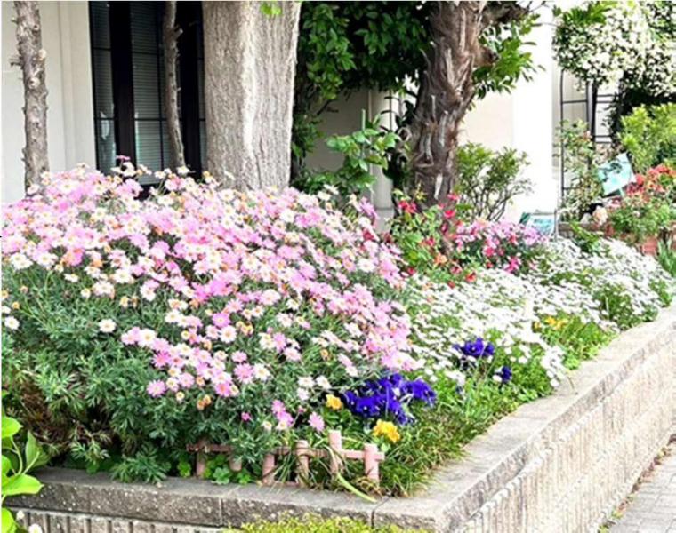 ふたば花壇2025
