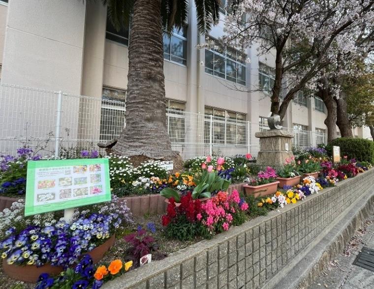 東須磨小学校2025
