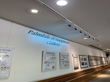 手のひらギャラリー