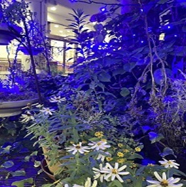 温泉健康センター