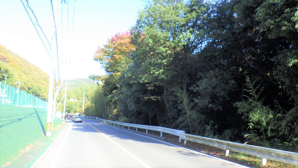 arimaguchitonnerukita_seibimae