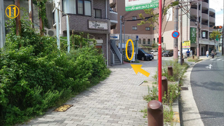 11