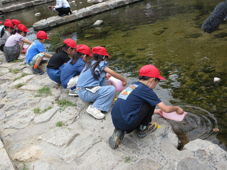 鮎を放流する子どもたち