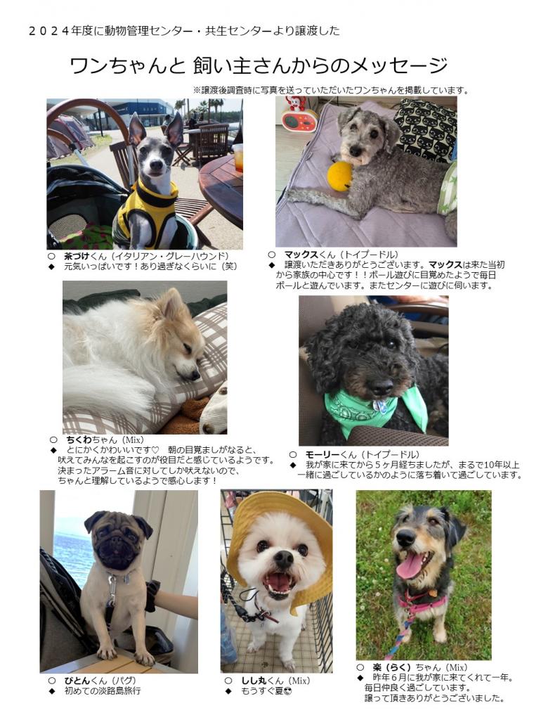 2024年度に譲渡された犬たち