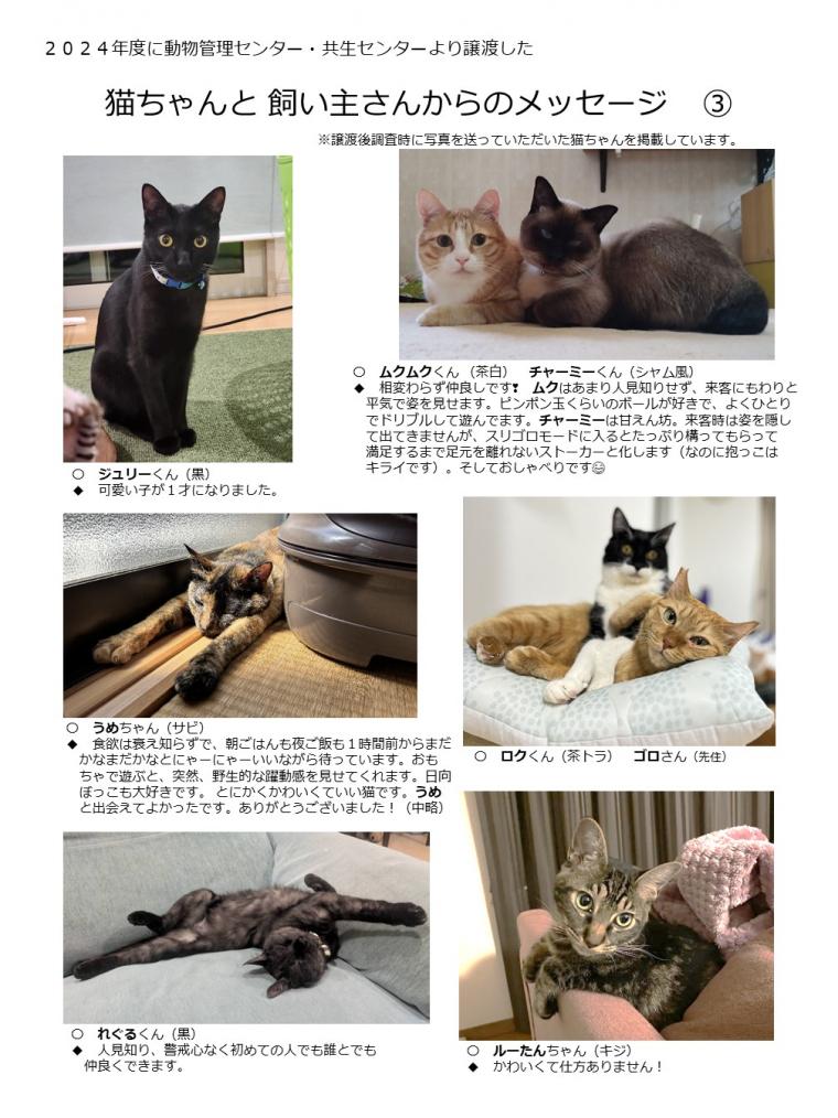 2024年度に譲渡された猫たち-03