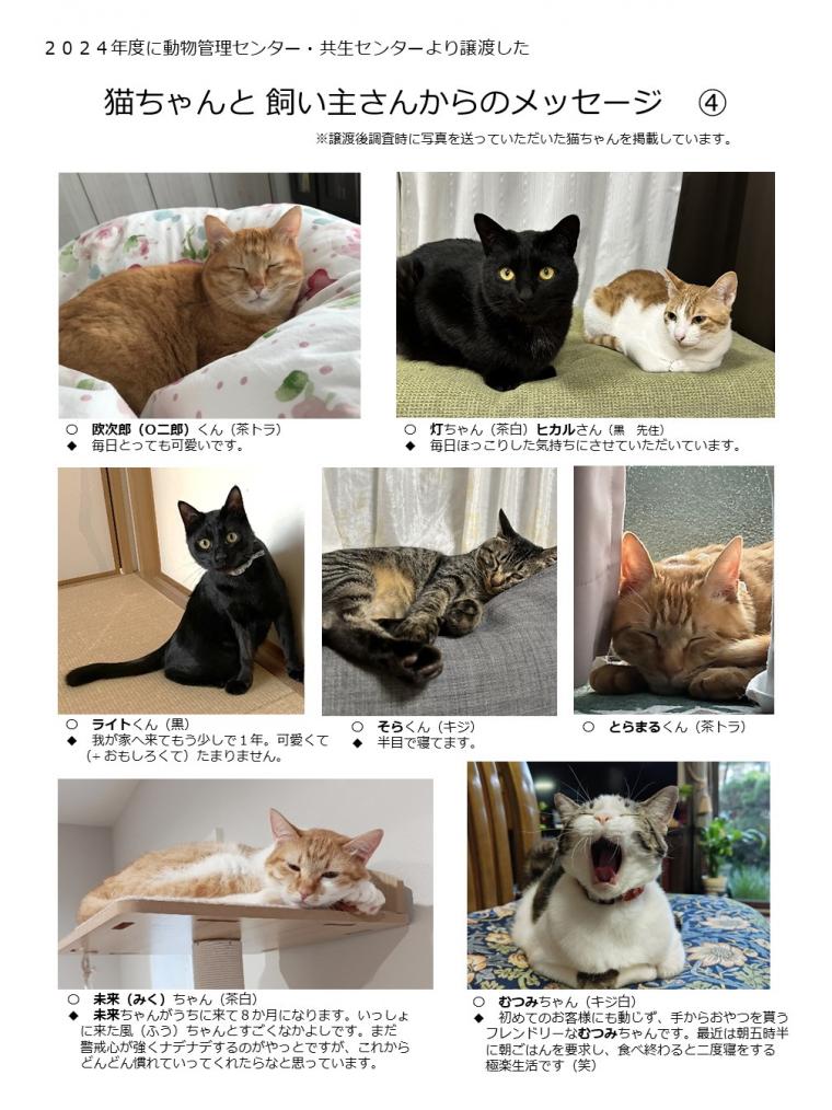 2024年度に譲渡された猫たち-04