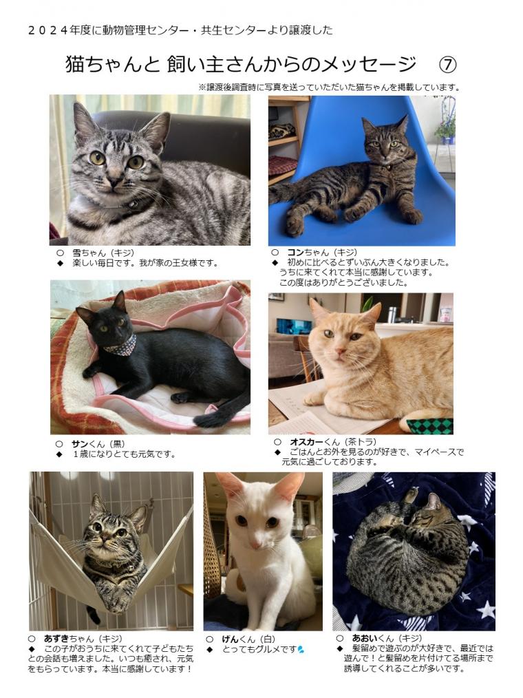 2024年度に譲渡された猫たち-07