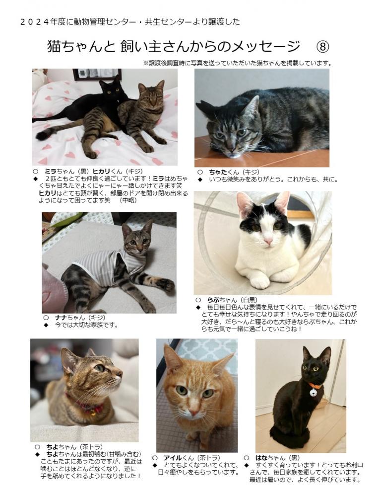 2024年度に譲渡された猫たち-08