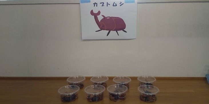 塩屋北夏あそび12
