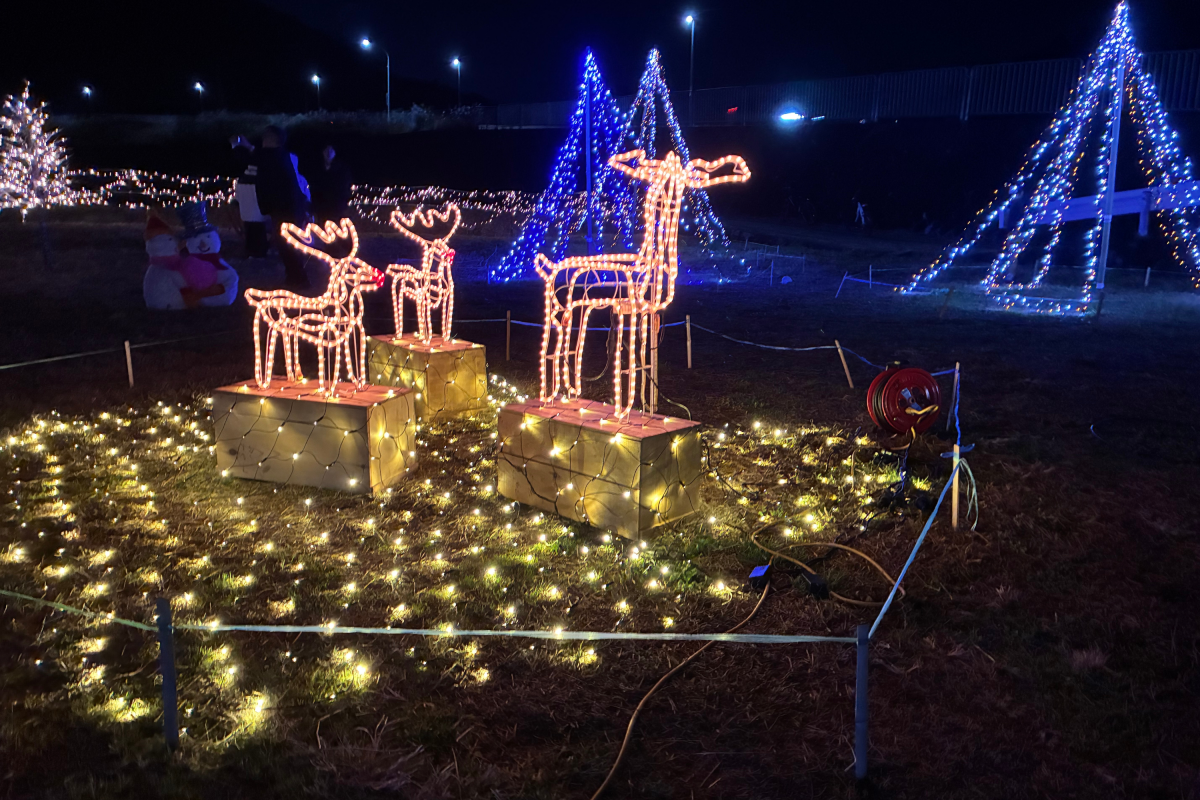 イルミネーション写真