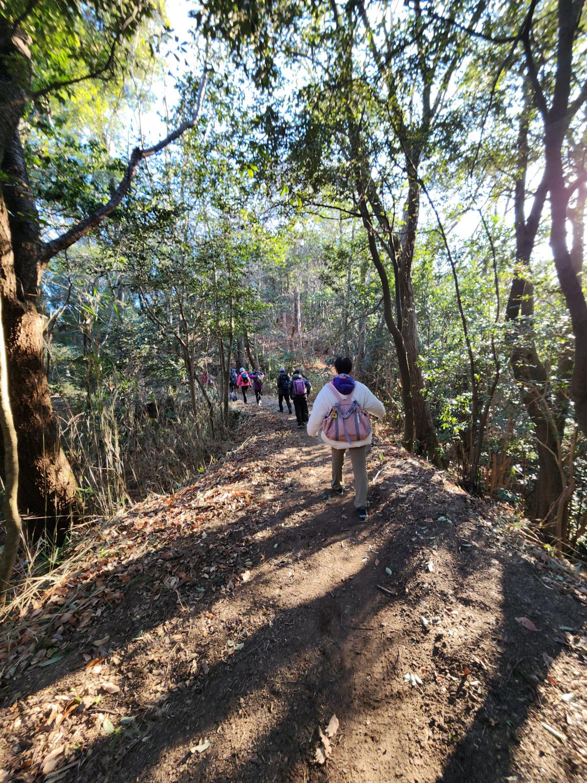 あいなはキング