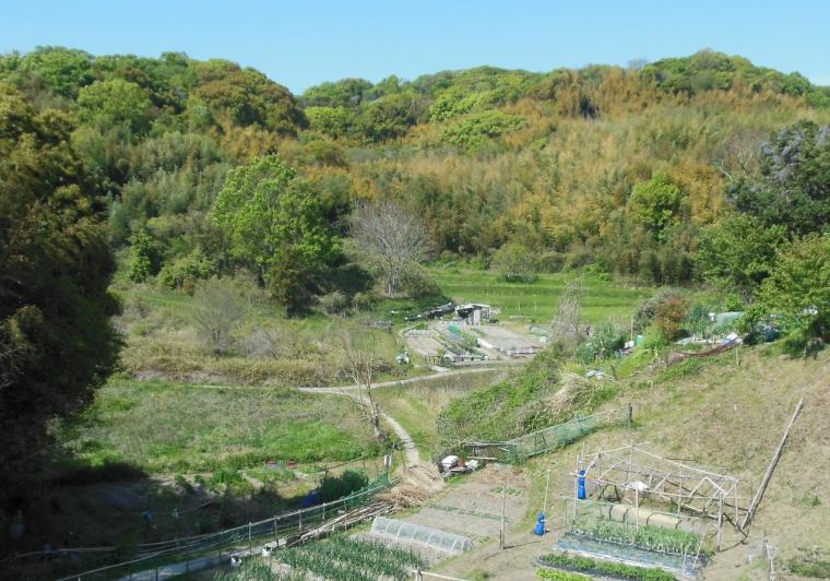 多井畑の風景