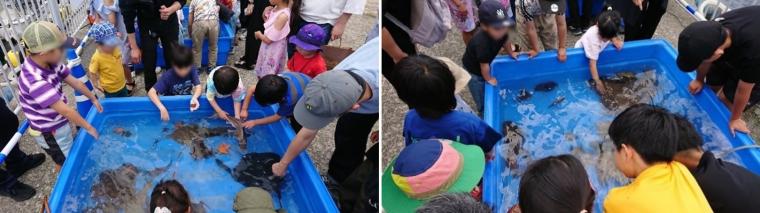 25神戸漁師まつり4