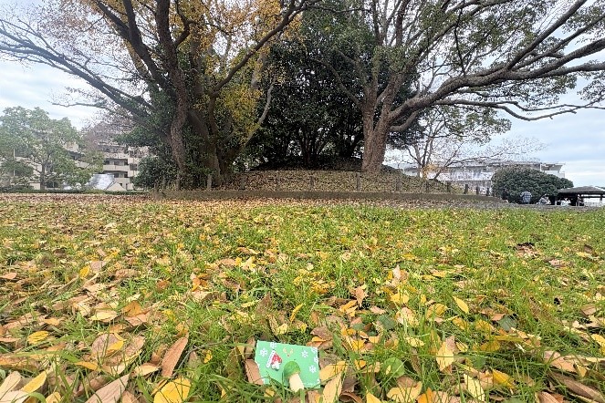 きつね塚古墳のピクニックの様子3