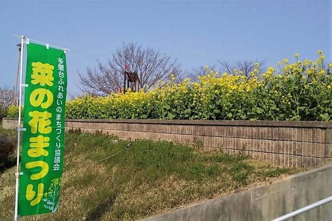 菜の花まつりののぼり