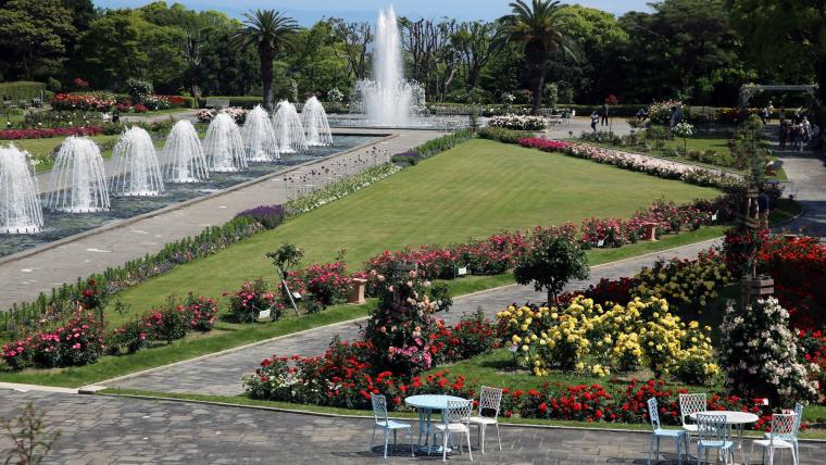 神戸の公園アラカルト