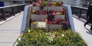 神戸市造園協力会の花壇写真