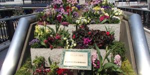 播州信用金庫職員組合の花壇写真