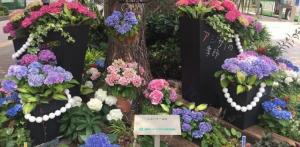 日本ロードメンテナンスの花壇写真