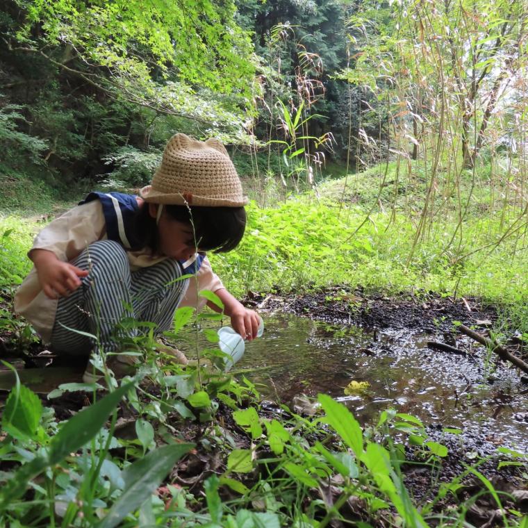 satoyama1