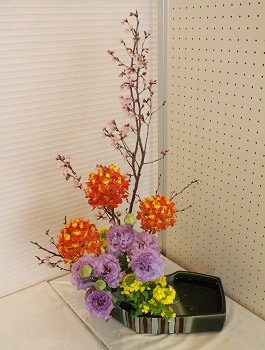 五毛婦人会作品