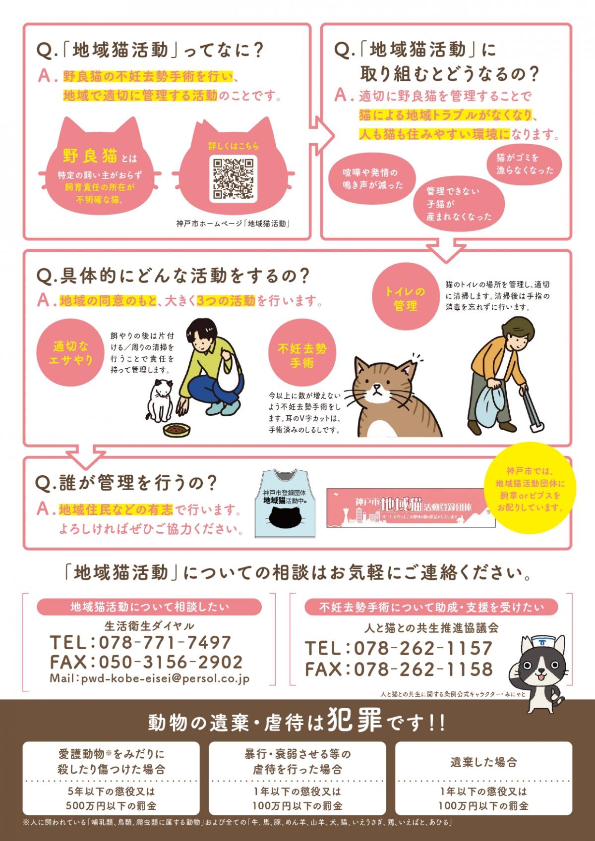 地域猫活動チラシ（ウラ）