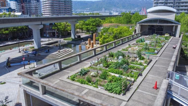 シェラトンファーム①