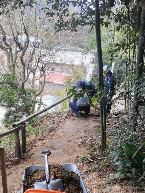 竹林整備1