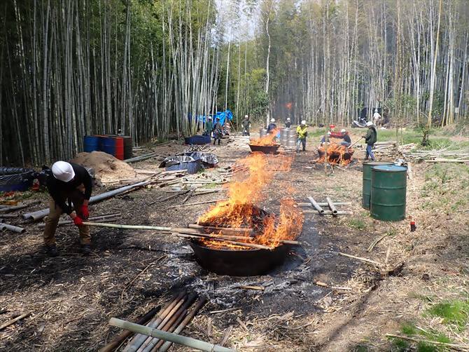 竹林整備ボランティア(個人)