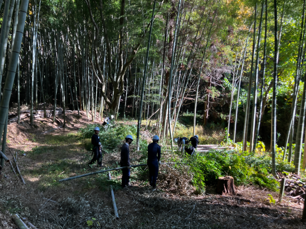 竹林整備ボランティア(オープンハウス)