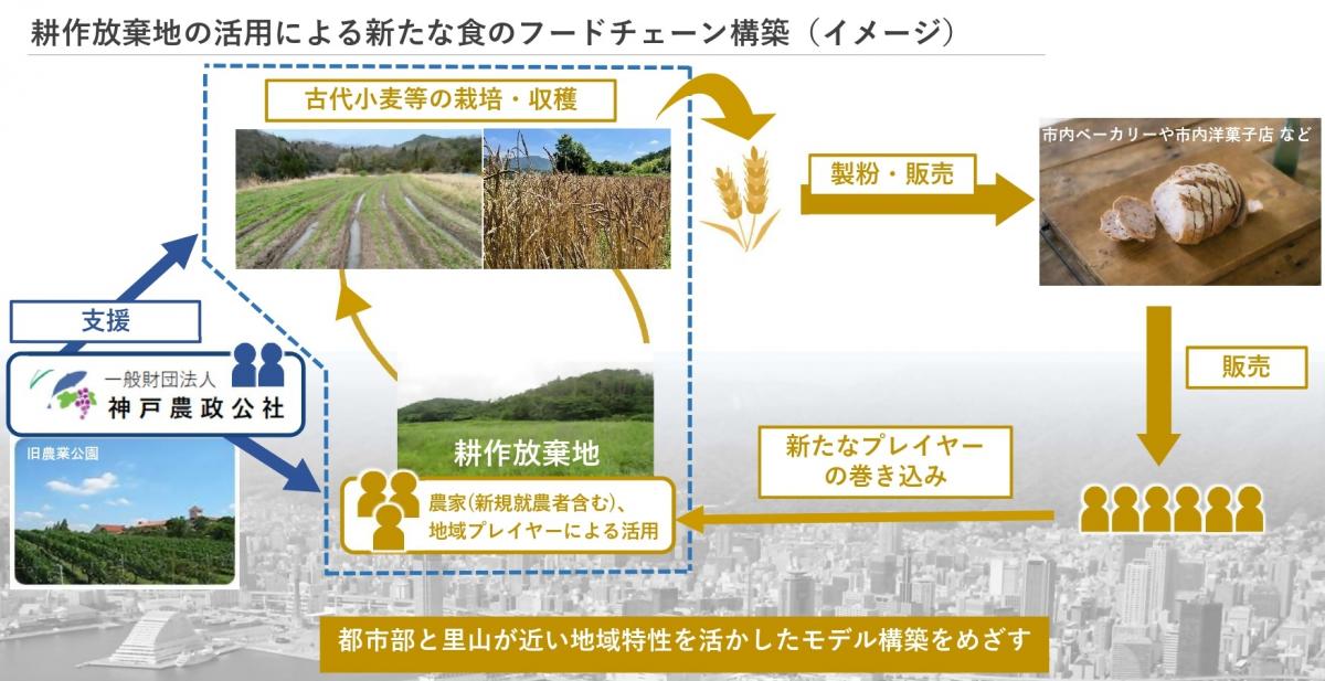 事業のイメージ図