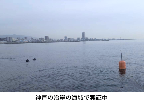 神戸の沿岸の海域で実証中の写真