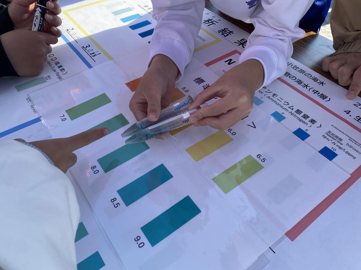 環境学習会の様子