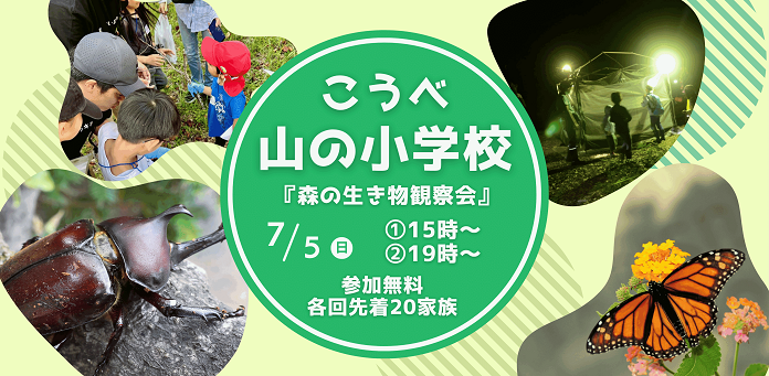 森の生き物観察会