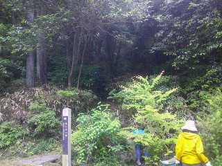 風道を通す草刈り作業