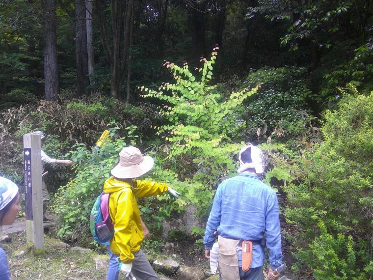 風道を通す草刈り作業