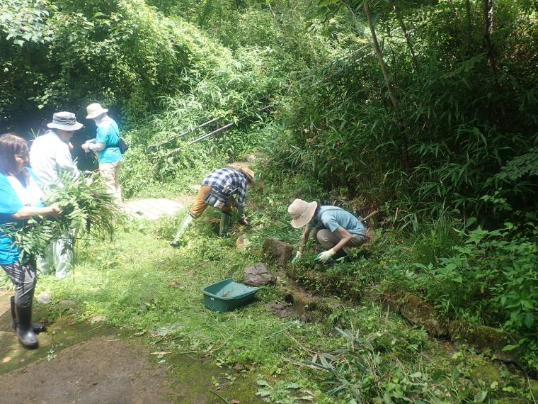 湧水の水路整備
