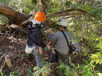 2025年11月活動写真1枚目