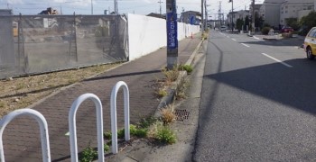 小規模な雑草の草刈り