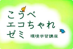 ecocharogo