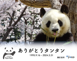 バナー2