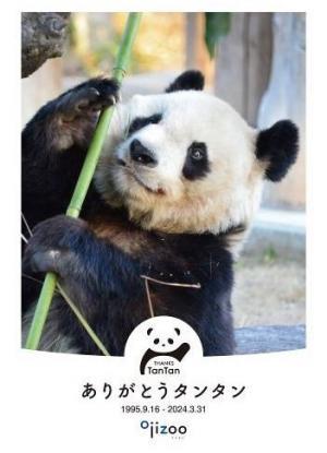 神戸市立王子動物園 タンタン🐼追悼事業 命日の3月31日から実施