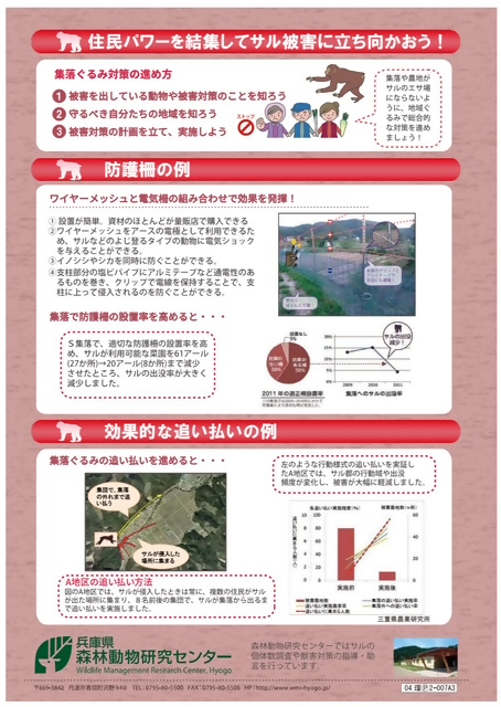 サル⑤