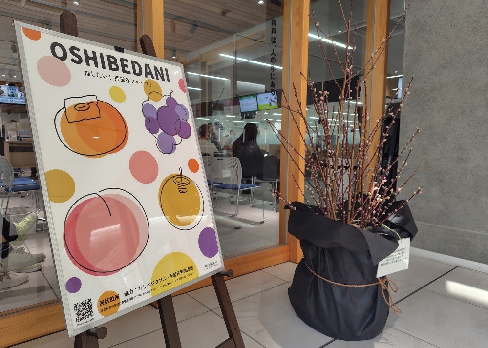 押部谷の桃の花