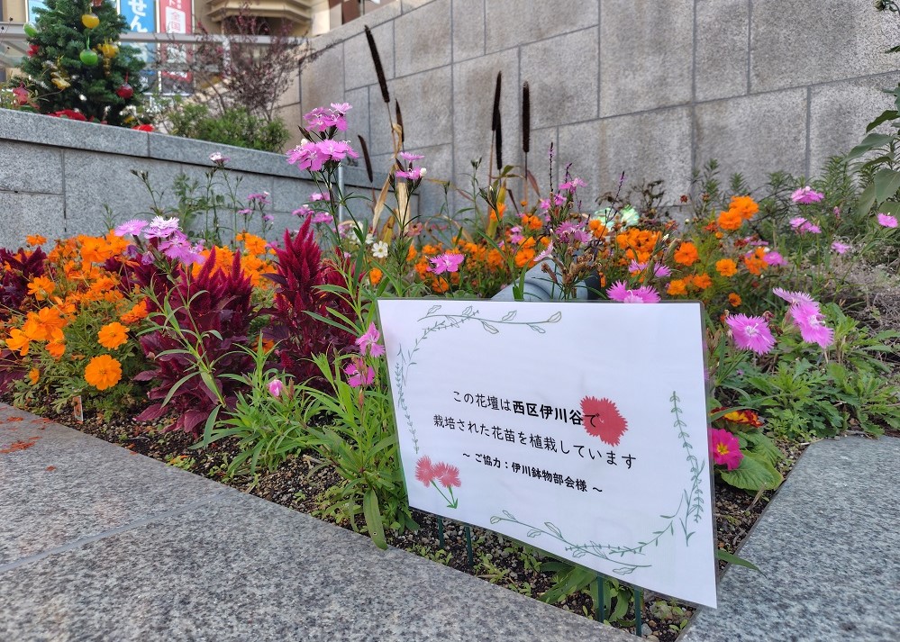 プレンティ広場の花壇