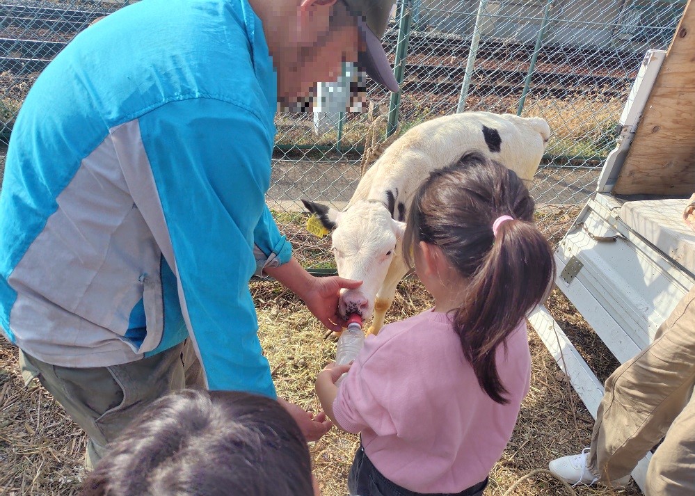 ミルクやり体験