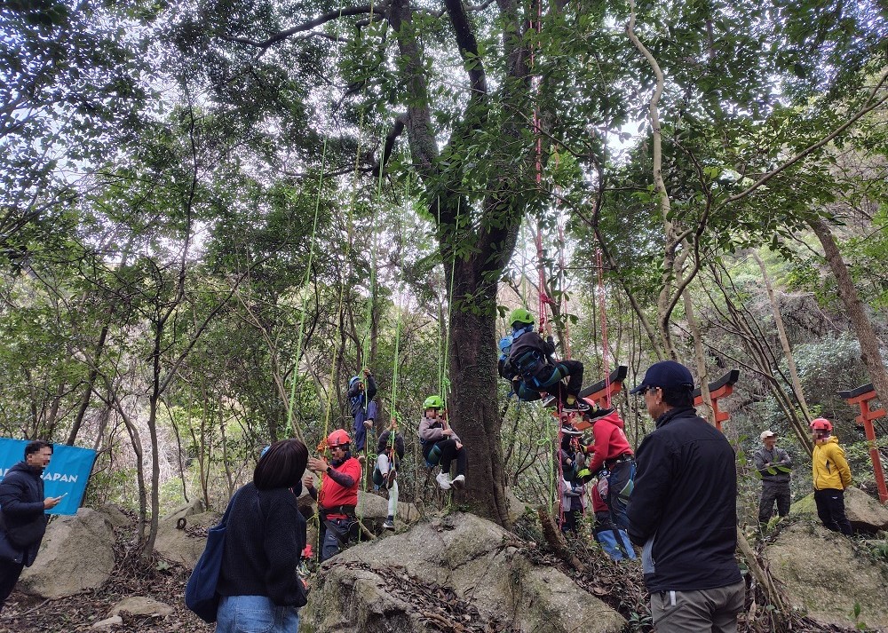 ツリークライミング体験の様子