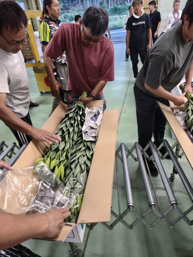 出荷作業